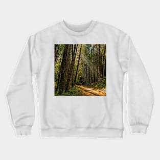 Smokey Forest Crewneck Sweatshirt